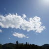 試し撮り〜Batis 2/25〜