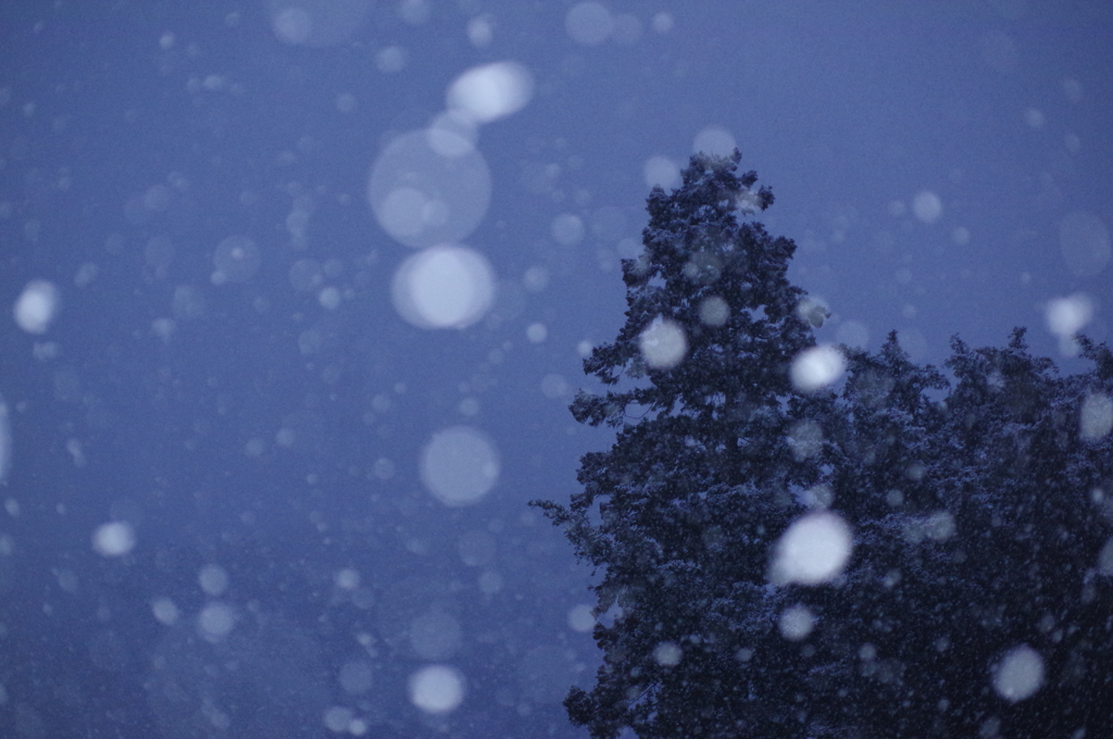 降雪