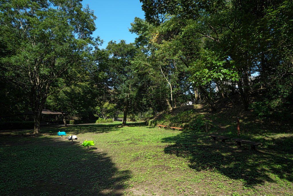 地元の自然公園2…。