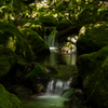 苔むす小川