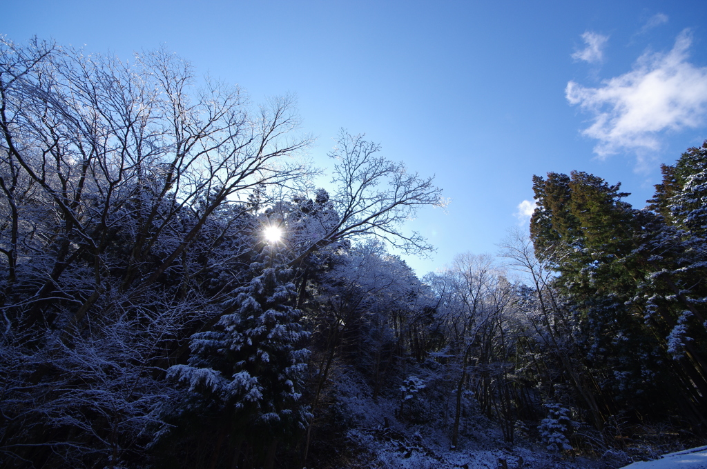 降雪後