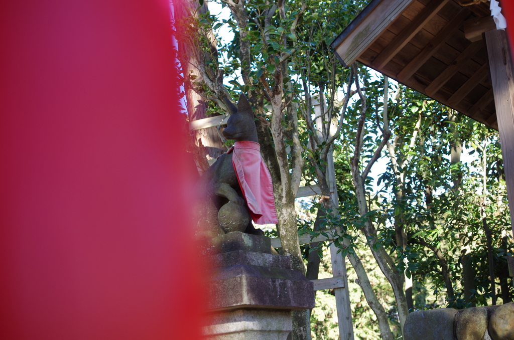 御狐様
