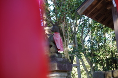 御狐様