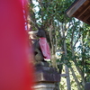 御狐様