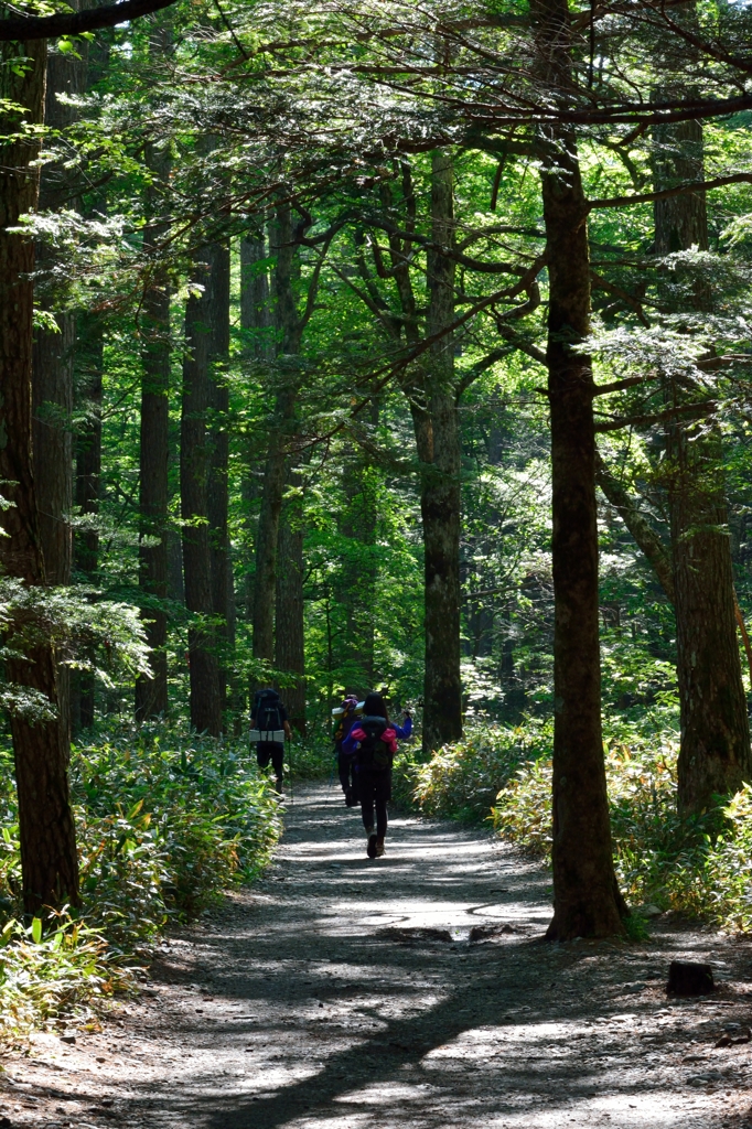 行ってきま～す