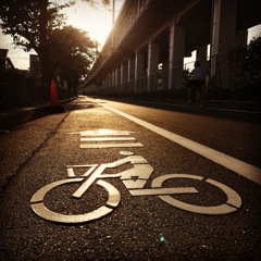 自転車、輝く。