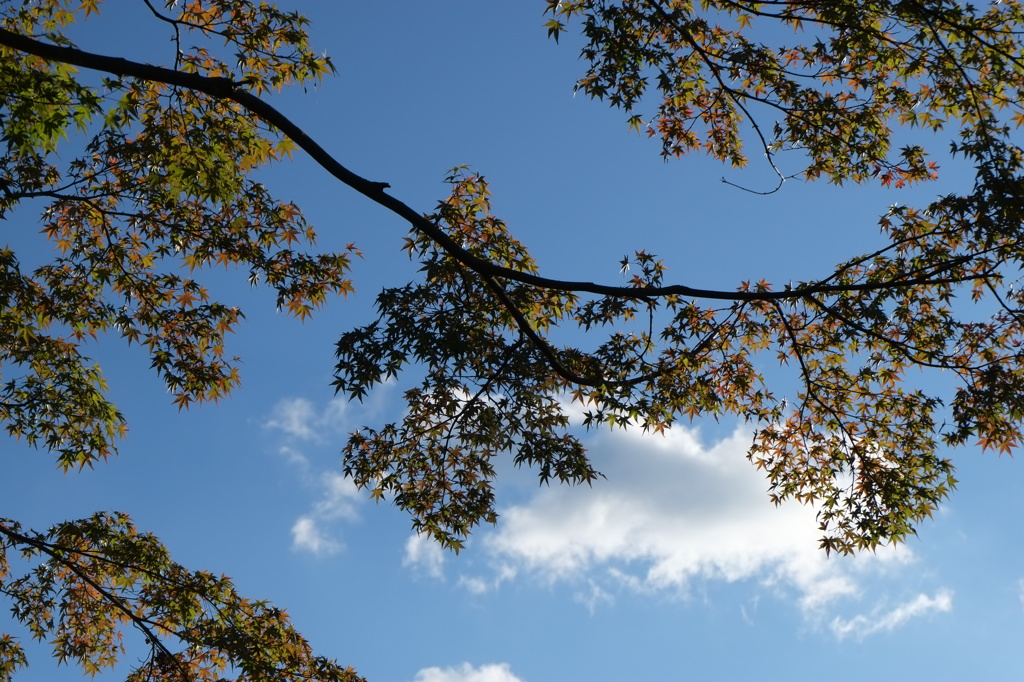 ちょっと早かった。。。