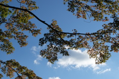 ちょっと早かった。。。