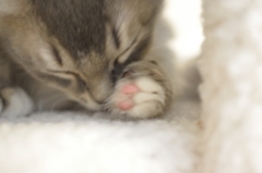ほっこり。