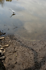 ワタシノ　アシアト