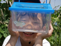 妖怪よりも昆虫を！