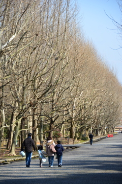 公園へ向かう道