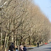 公園へ向かう道