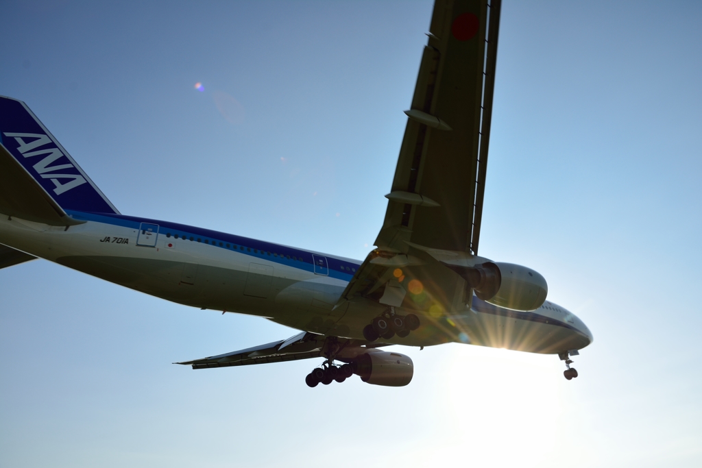 それでもはみ出す千里川