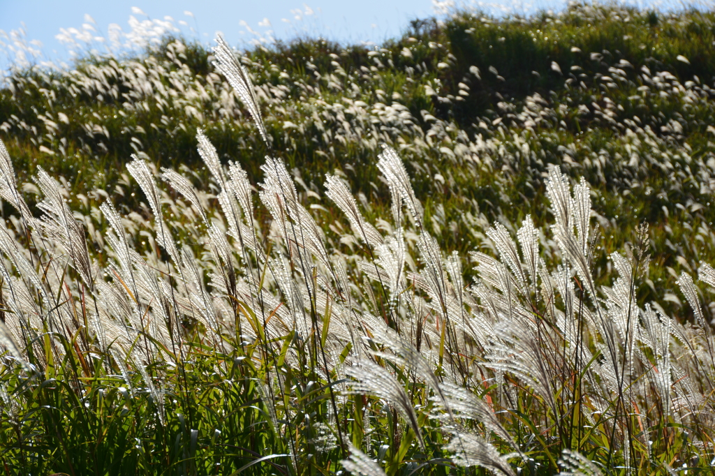 手を振るように