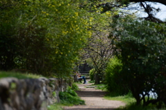 春の小径