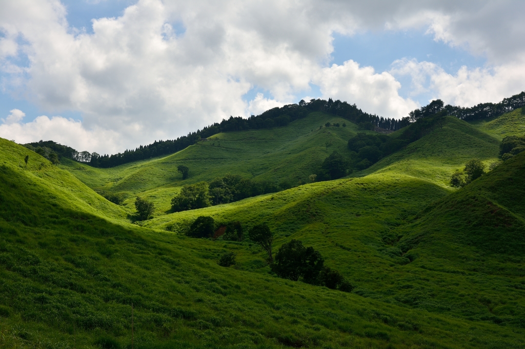 光と影と～砥峰高原