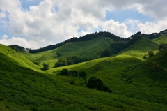 光と影と～砥峰高原