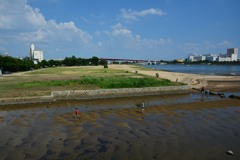 夏を駆ける