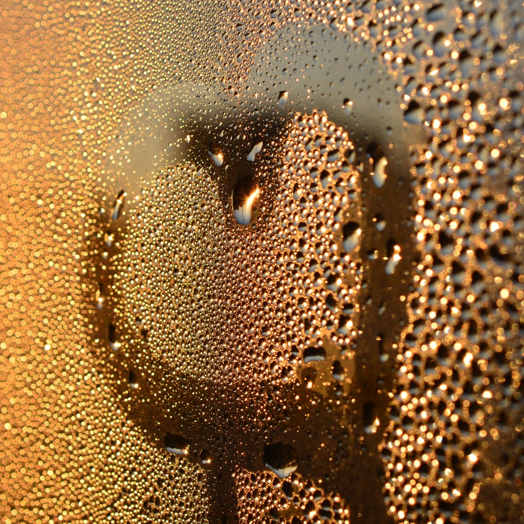 朝陽の中で・・・