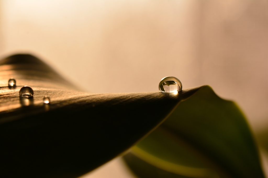 雨の上がった朝