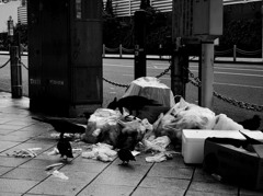 土曜、朝。新宿①