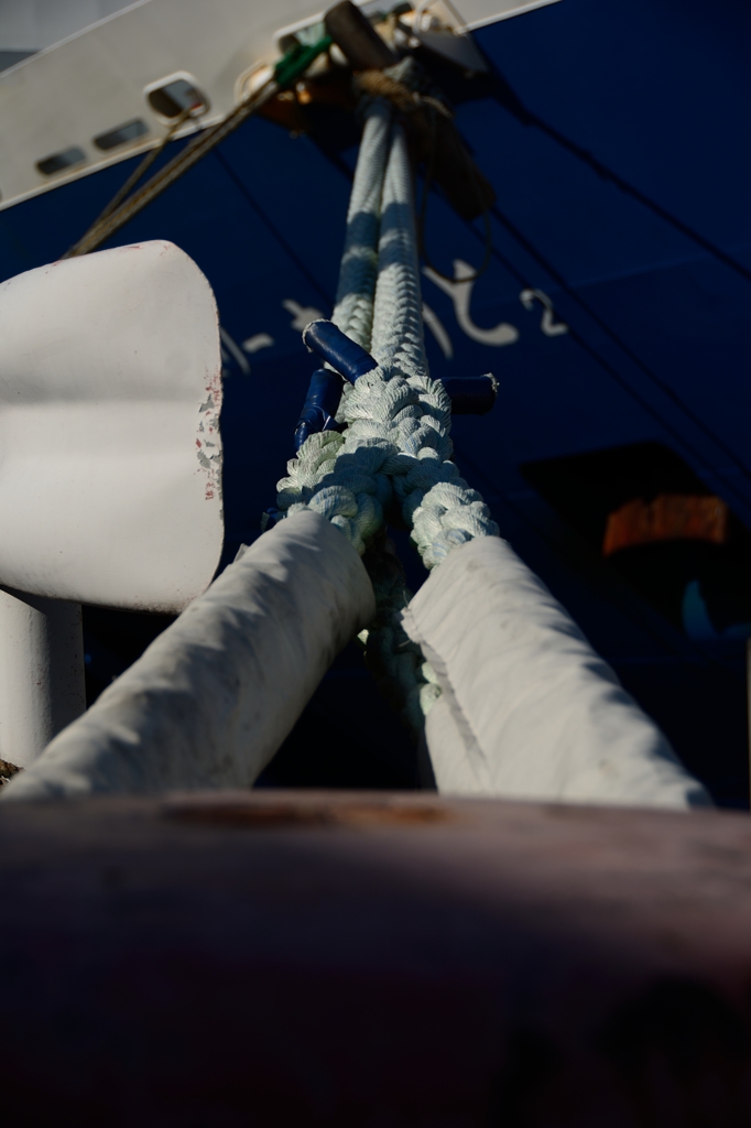 繋ぐ～南港埠頭