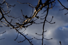 準備は進行中^^