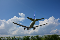 夏空に