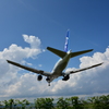 夏空に