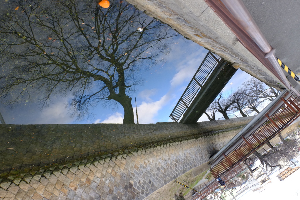 アナザー・ワールド？