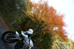 六甲にて