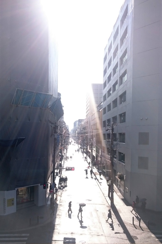 初春の光