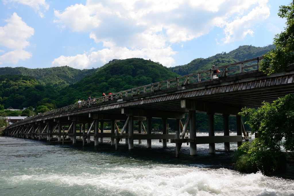 初夏の風景