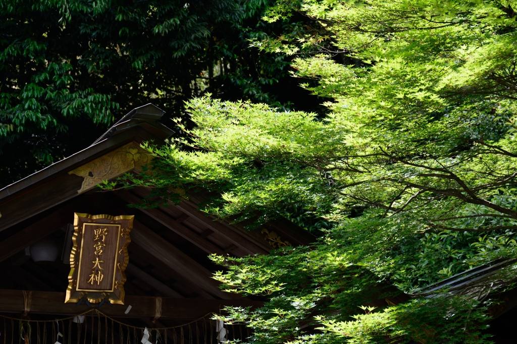 野宮神社