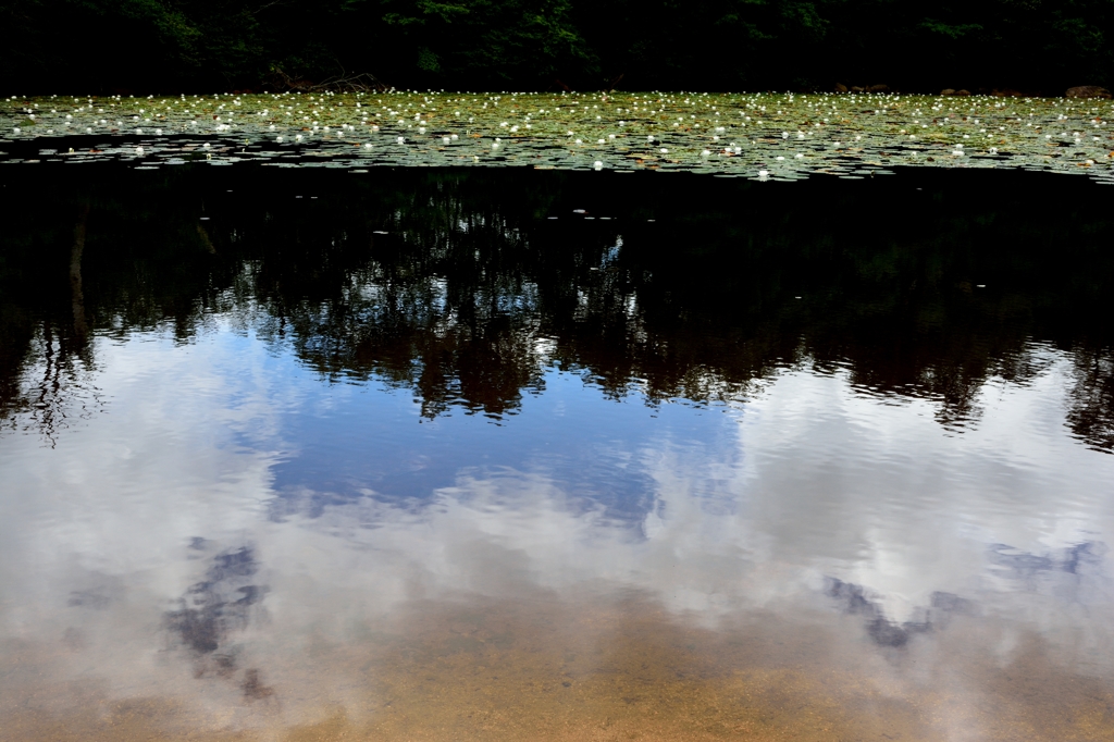 蓮の池～六甲山