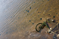 武庫川河口にて