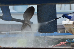 たまには真水で。