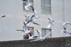 ポップコーン争奪戦