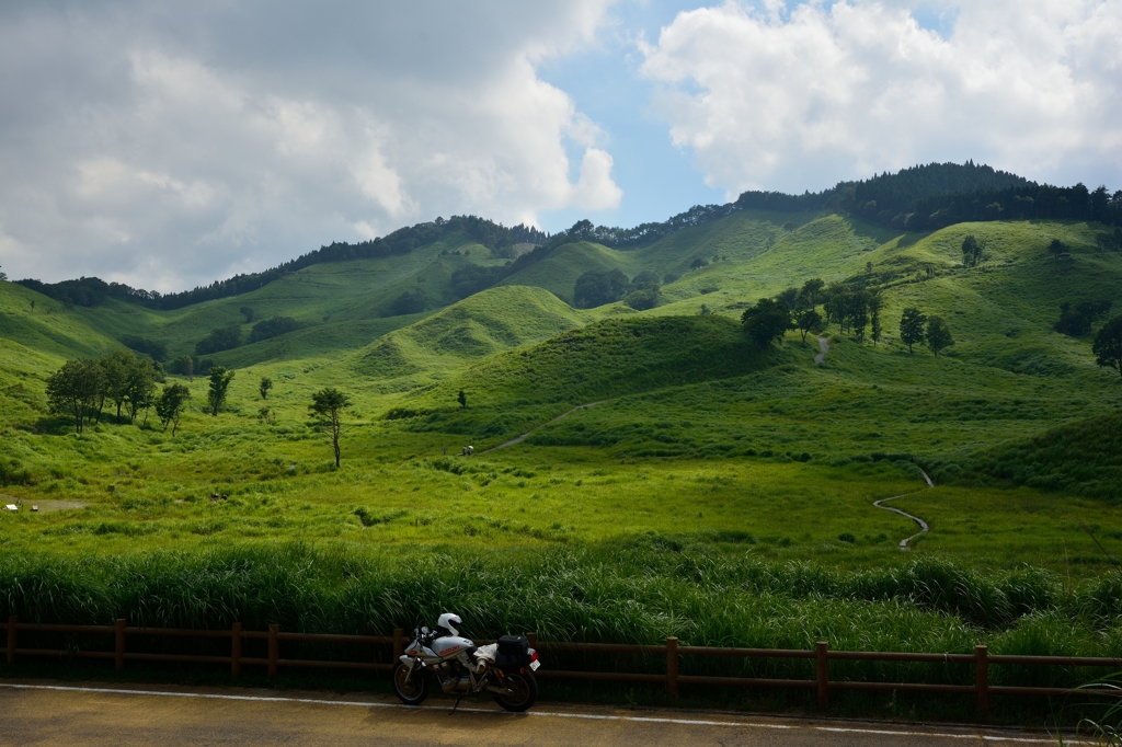 ここにいるよ～砥峰高原