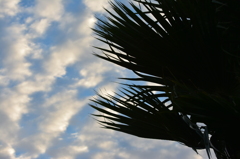 望遠だけ持って①