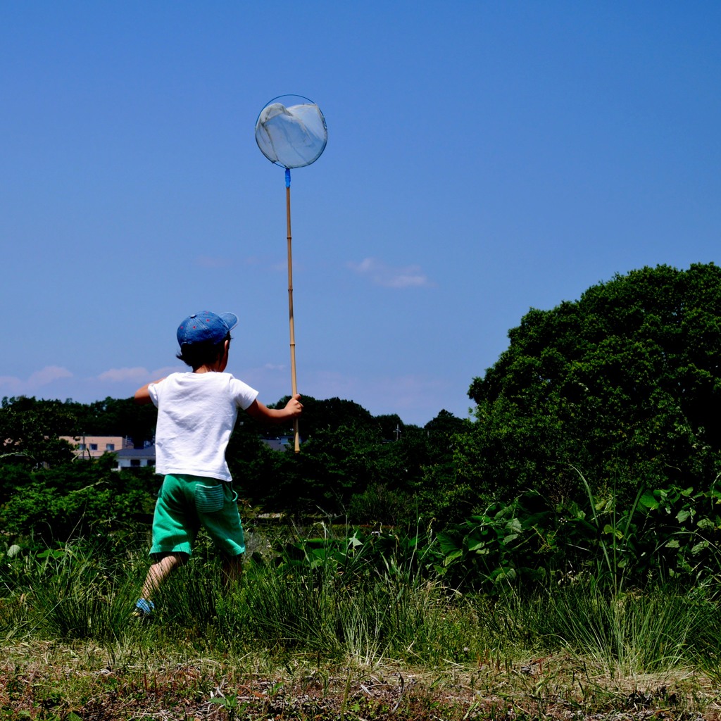 夏の少年