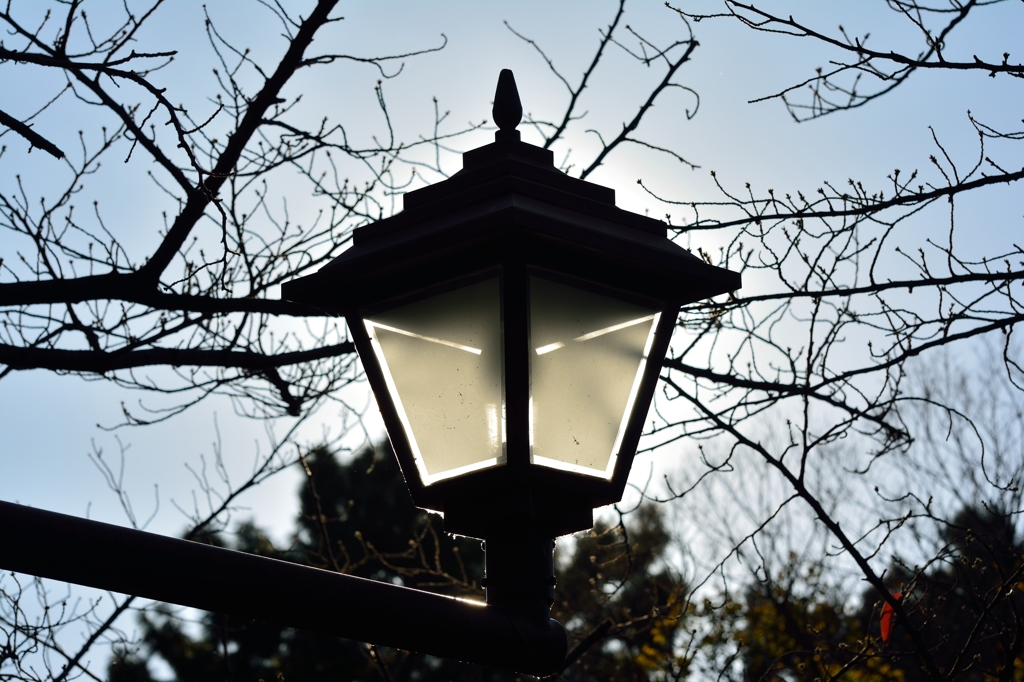 冬の街灯