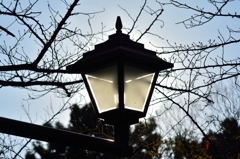 冬の街灯