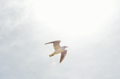 天使かもしれない