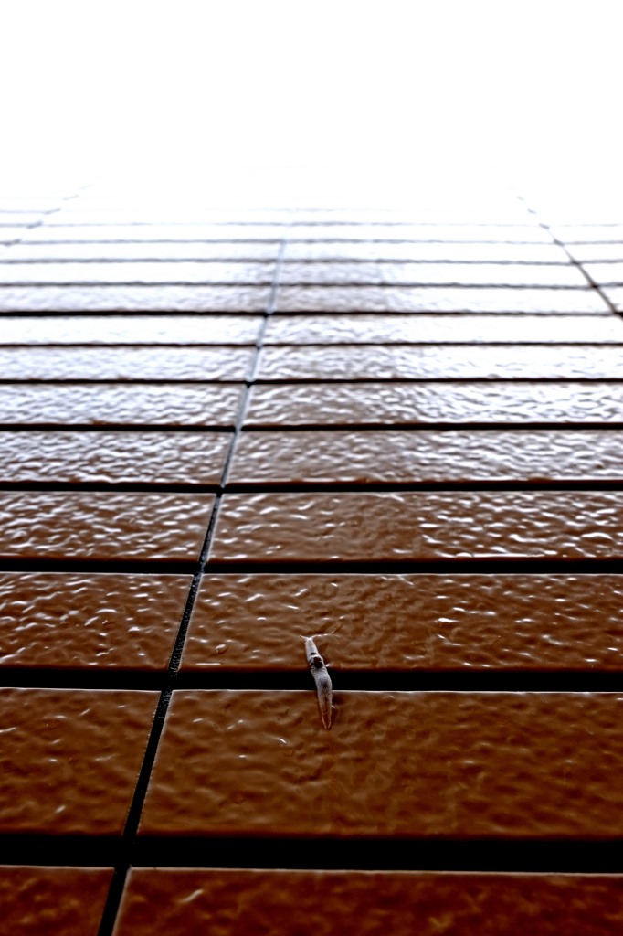 ひたすら上を目指して…