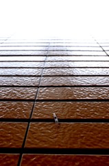 ひたすら上を目指して…