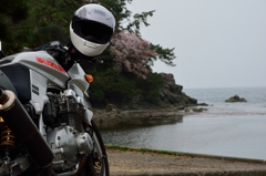 海を見たくて。