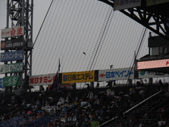 特等席で観戦チュン