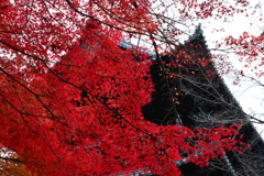 絶景かな～